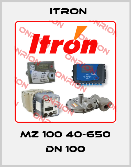 MZ 100 40-650 DN 100 Itron