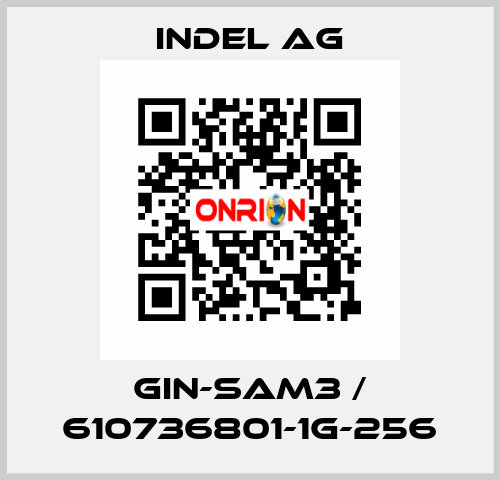 GIN-SAM3 / 610736801-1G-256 INDEL AG