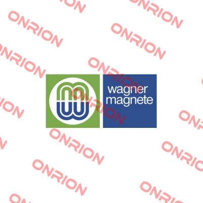 115W-10/250-11 SS-2:110 Wagner Magnete
