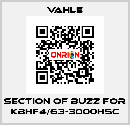 section of buzz for KBHF4/63-3000HSC Vahle