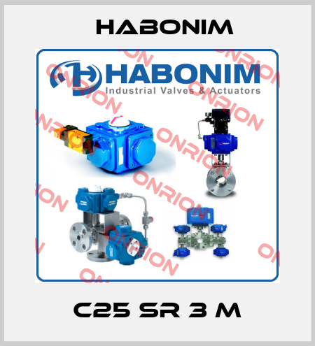 C25 SR 3 M Habonim