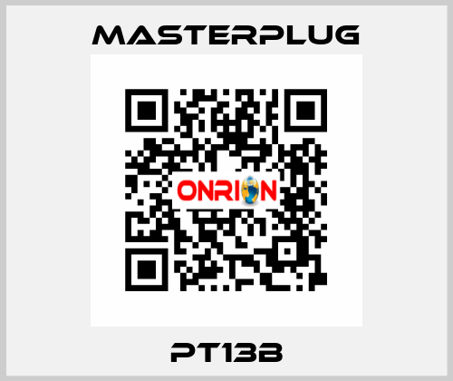 PT13B Masterplug