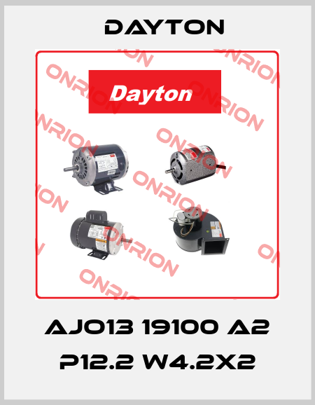 AJO13 19100 A2 P12.2 W4.2X2 DAYTON