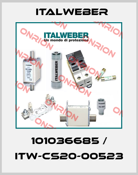 101036685 / ITW-CS20-00523 Italweber