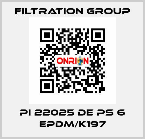 PI 22025 DE PS 6 EPDM/K197 Filtration Group