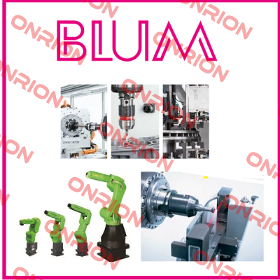 253403 Blum