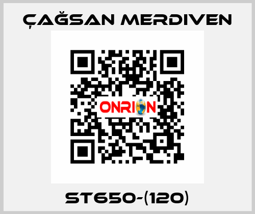 ST650-(120) Çağsan Merdiven