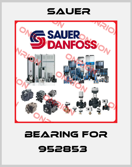 Bearing for 952853   Sauer