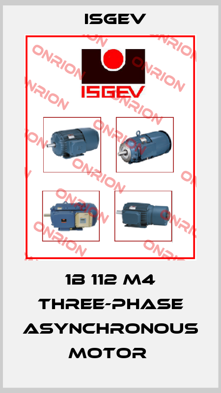 1B 112 M4 THREE-PHASE ASYNCHRONOUS MOTOR  Isgev