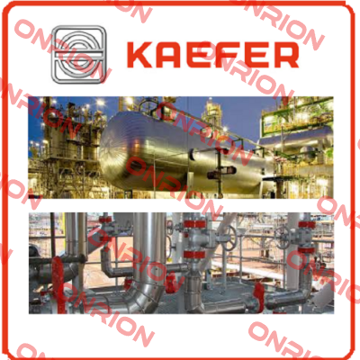 100013505 Kaefer