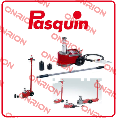 P302 Pasquin