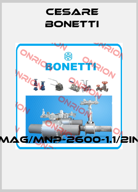 MAG/MNP-2600-1.1/2IN  Cesare Bonetti