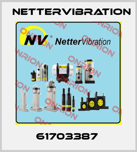 61703387  NetterVibration