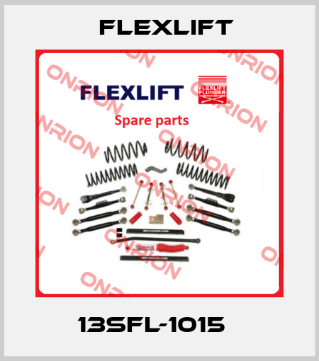 13SFL-1015   Flexlift