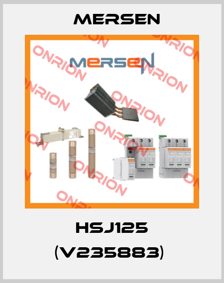 HSJ125 (V235883)  Mersen
