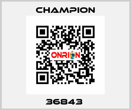 36843  Champion