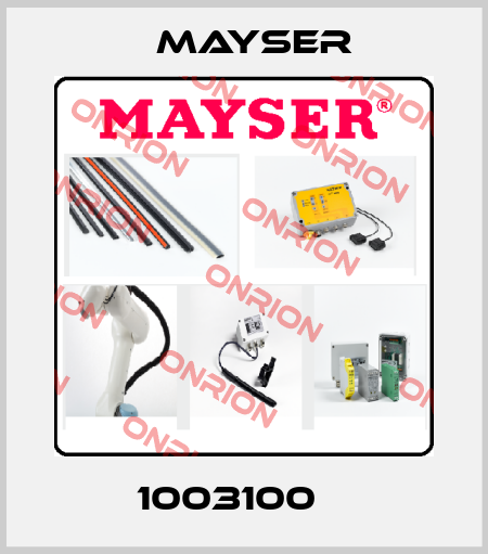 1003100    Mayser