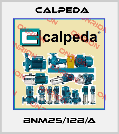 BNM25/12B/A Calpeda