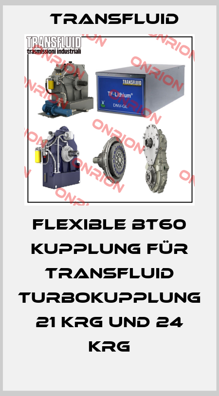 Flexible BT60 Kupplung für Transfluid Turbokupplung 21 KRG und 24 KRG Transfluid