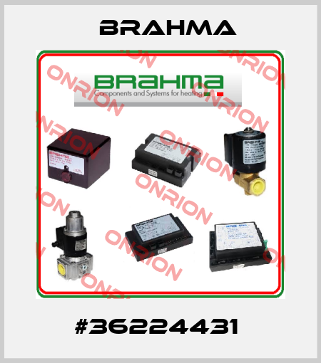 #36224431  Brahma
