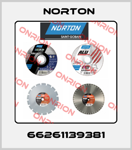 66261139381 Norton