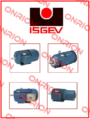 Fire polisher Motor (3Motor: SINCRONO ARS 132 MA6  V:380Y  A:17  KW:4.4  HZ:100 RPM:2000) Isgev