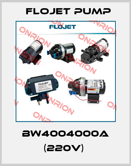 BW4004000A (220V)  Flojet Pump