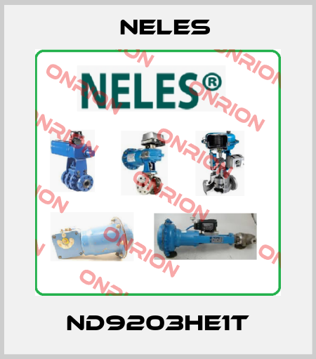 ND9203HE1T Neles