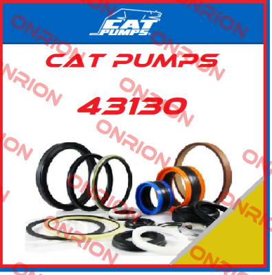 43130 Cat Pumps