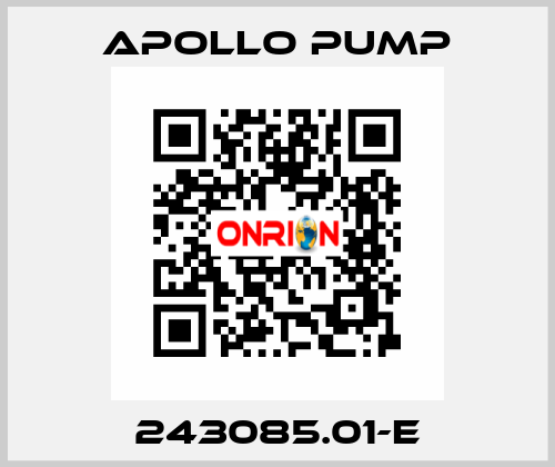 243085.01-E Apollo pump