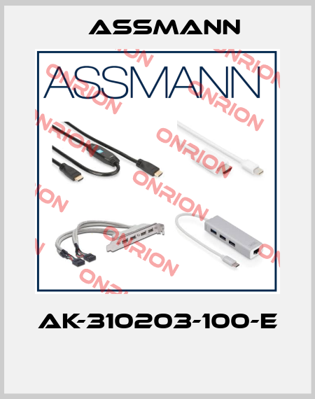 AK-310203-100-E  Assmann