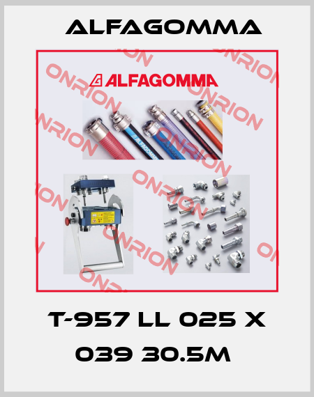 T-957 LL 025 X 039 30.5M  Alfagomma