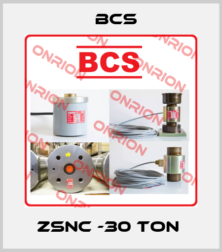 ZSNC -30 Ton  Bcs