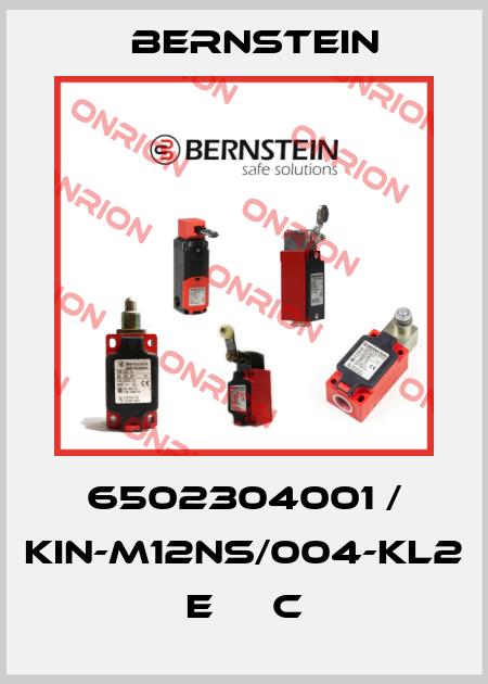 6502304001 / KIN-M12NS/004-KL2      E     C Bernstein