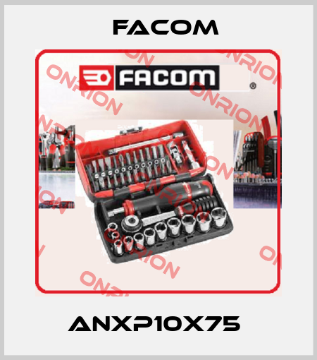 ANXP10X75  Facom