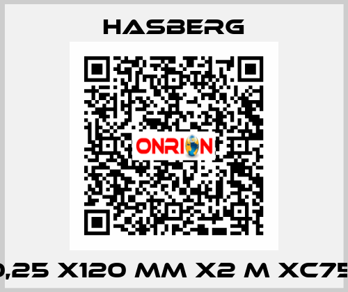 0,25 X120 MM X2 M XC75  Hasberg