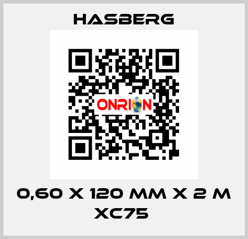 0,60 X 120 MM X 2 M XC75  Hasberg