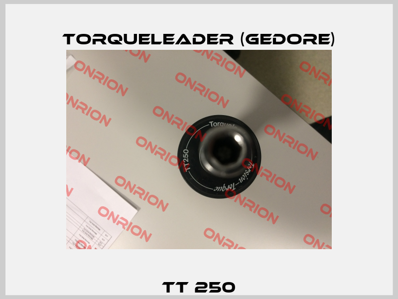 TT 250 Torqueleader (Gedore)