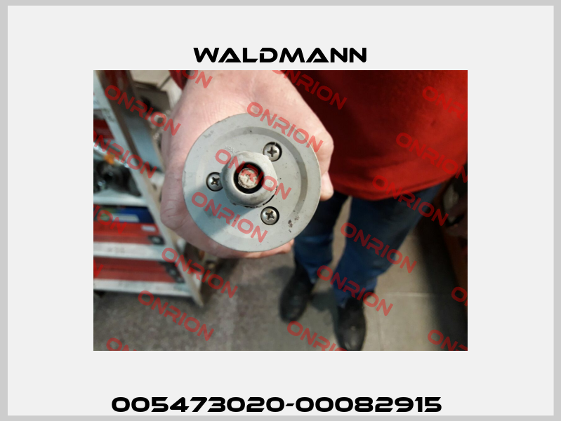005473020-00082915  Waldmann