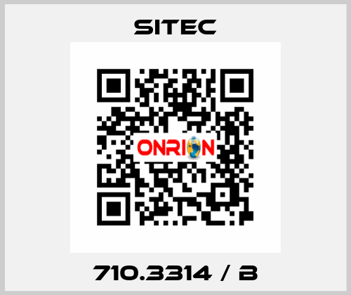 710.3314 / b SITEC