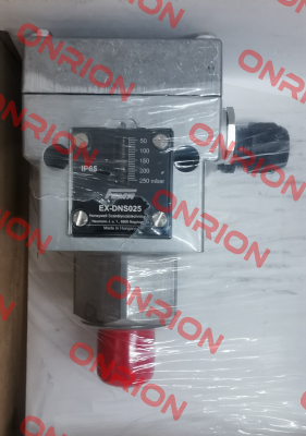 EX-DNS025 FEMA