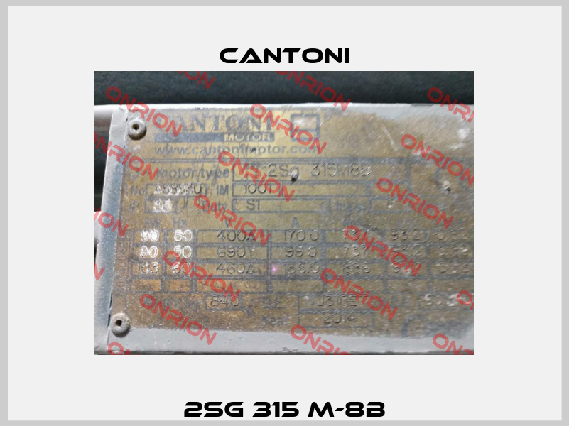 2SG 315 M-8B Cantoni
