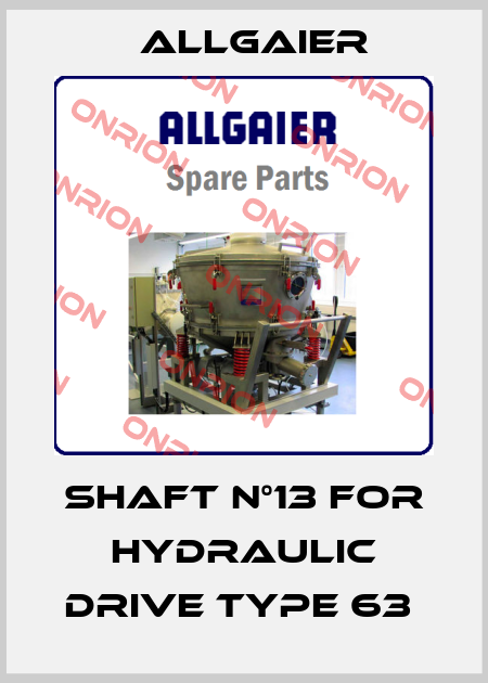 SHAFT N°13 for hydraulic drive type 63  Allgaier