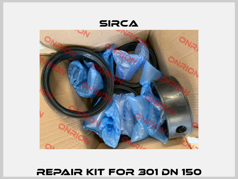 Repair kit for 301 DN 150 Sirca
