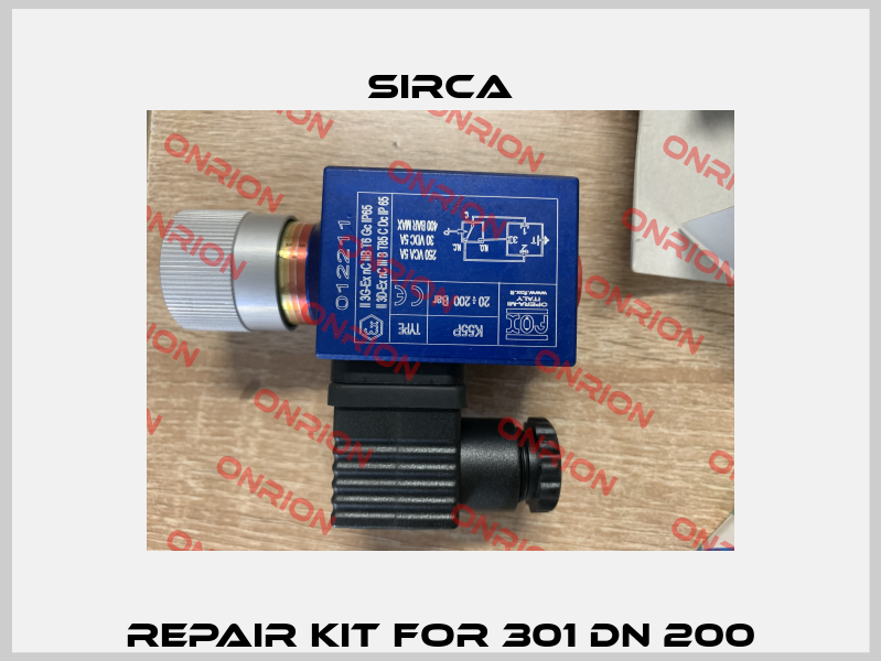 Repair kit for 301 DN 200 Sirca