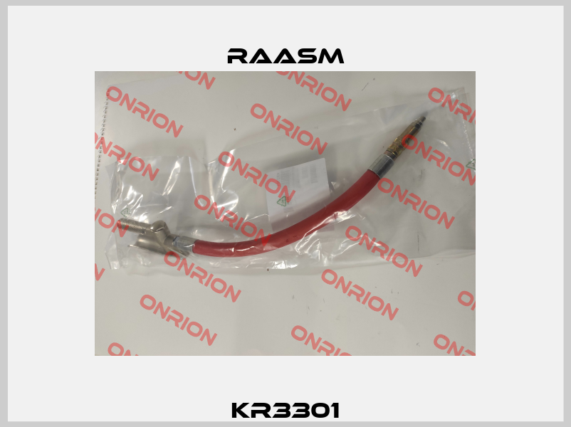 KR3301 Raasm