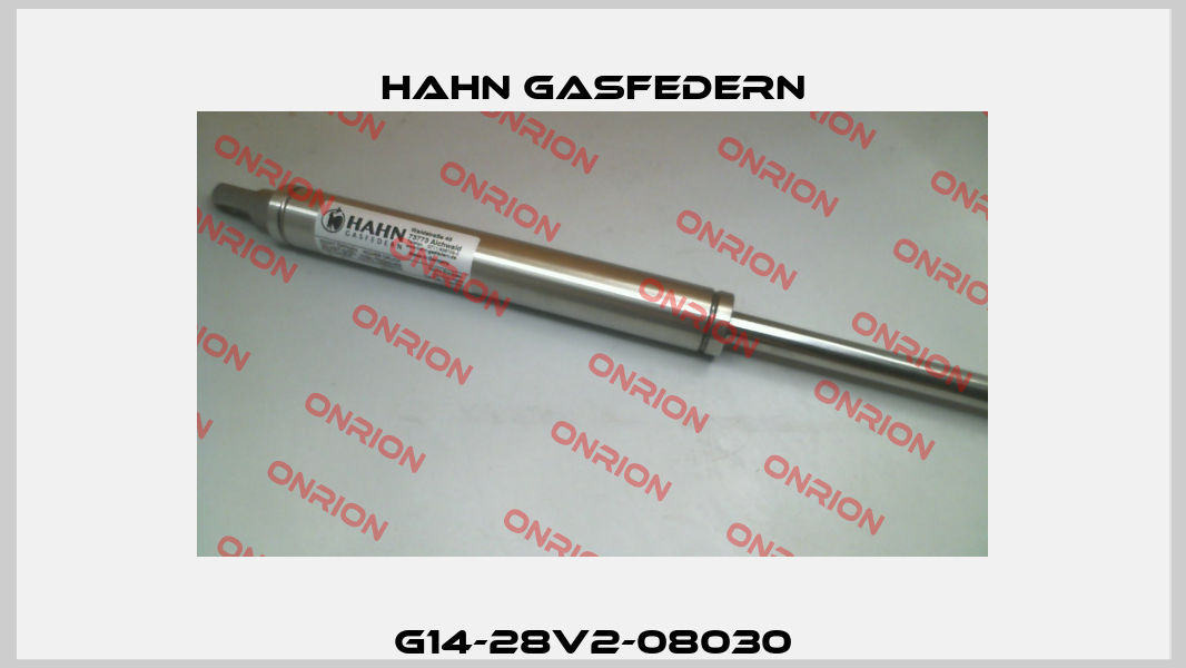 G14-28V2-08030 Hahn Gasfedern
