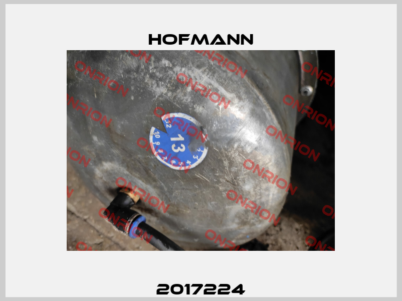 2017224 Hofmann