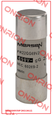 FR22GG69V50P (M213612)  Mersen