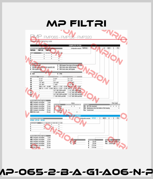 FMP-065-2-B-A-G1-A06-N-P01 MP Filtri